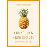 Постер книги Соционика: «Дон Кихот». Полное описание типа