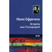 Постер книги Встреча над Тускаророй