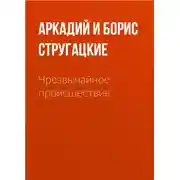 Постер книги Чрезвычайное происшествие