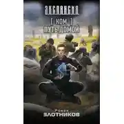 Постер книги Ком. Путь домой
