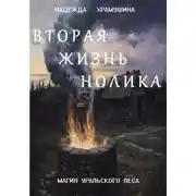 Постер книги Вторая жизнь Нолика