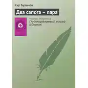Постер книги Два сапога – пара