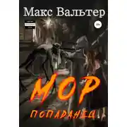 Постер книги Мор Попаданец