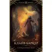 Постер книги Сотканный мир