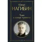 Постер книги Тьма в конце туннеля