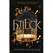 Постер книги Блеск