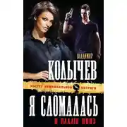 Постер книги Я сломалась и падаю вниз