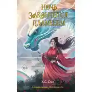 Постер книги Ночь закончится пламенем