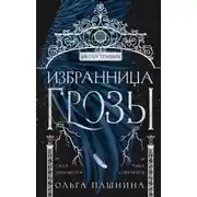 Постер книги Школа темных. Избранница грозы