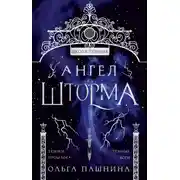 Постер книги Школа темных. Ангел шторма