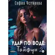 Постер книги Удар по воде: Тайфун 2