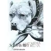 Постер книги Жизнь Пит мена