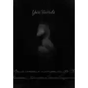 Постер книги Приключения материка Фе Де Хелэсси. История одиннадцатой