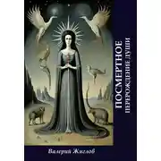 Постер книги Посмертное перерождение души