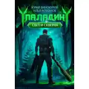 Постер книги Паладин. Свет и Скверна II