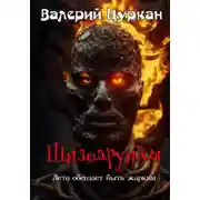 Постер книги Шизодруиды