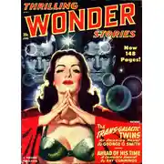 Постер книги Металлический жаворонок