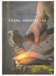 Сергей Васильев - Сталь Императора