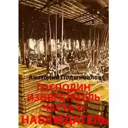 Постер книги Наблюдатель. Господин изобретатель. Часть VI