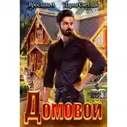 Постер книги Домовой