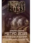 Дмитрий Северов - Метро 2039. Приключения сумасшедшего