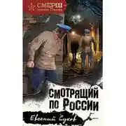 Постер книги Смотрящий по России