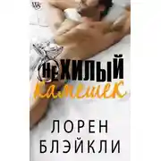 Постер книги Нехилый камешек (ЛП)