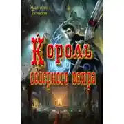 Постер книги Король северного ветра (СИ)