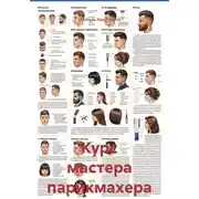 Постер книги Курс мастера парикмахера