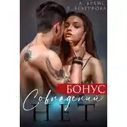 Постер книги Совпадений нет. Бонус