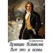 Постер книги Принцип Новикова. Вот это я попал