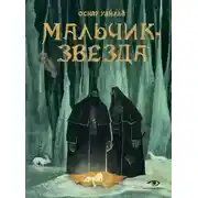 Постер книги Мальчик-Звезда