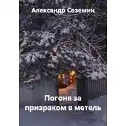 Постер книги Погоня за призраком в метель