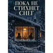 Постер книги Пока не стихнет снег