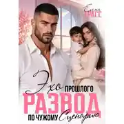 Постер книги Эхо прошлого. Развод по чужому сценарию