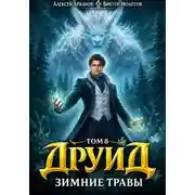 Постер книги Друид. Зимние травы