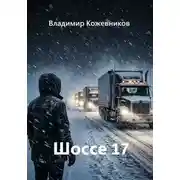 Постер книги Шоссе 17
