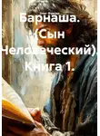 Олег Фурсин - Барнаша. (Сын Человеческий). Книга 1.