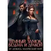 Постер книги Темный замок, ведьма и дракон