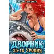 Постер книги Дворник 35-го уровня. Том 13