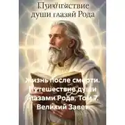 Постер книги Жизнь после смерти. Путешествие души глазами рода. Том 7. Великий завет