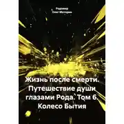 Постер книги Жизнь после смерти. Путешествие души глазами рода. Том 6. Колесо бытия