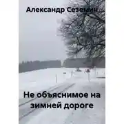 Постер книги Не объяснимое на зимней дороге