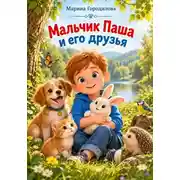Постер книги Мальчик Паша и его друзья