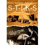 Постер книги Шустряк