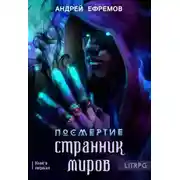 Постер книги Странник миров