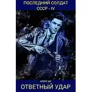 Постер книги Ответный удар