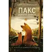 Постер книги Дорога домой