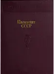 Николай Бадер - Палеолит СССР