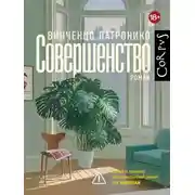 Постер книги Совершенство